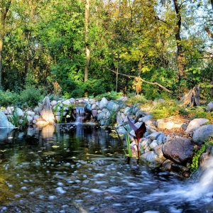 Photo of Aquatica