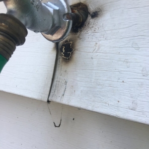 Photo of Max Sr. & Paul Schoenwalder Plumbing Heating Air Conditioning