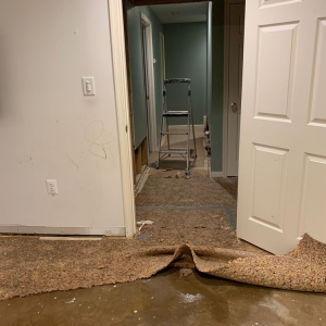 Photo of Water Damage Pro Master