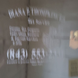Photo of Diana P Thompkins Tax