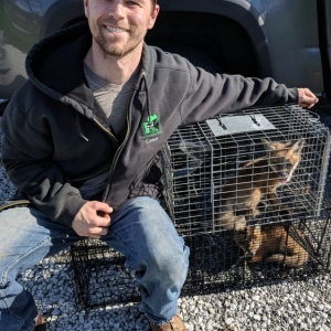 Photo of Shamrock Wildlife Services
