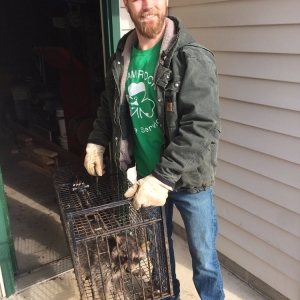 Photo of Shamrock Wildlife Services