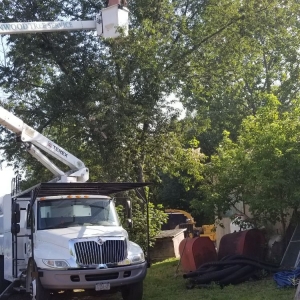 Photo of Greenwood Tree Service & Landscaping