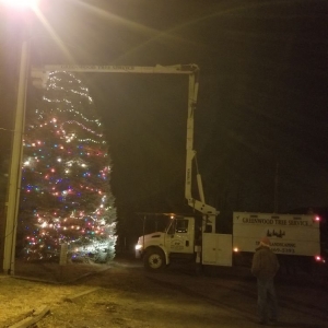 Photo of Greenwood Tree Service & Landscaping