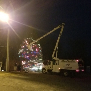 Photo of Greenwood Tree Service & Landscaping