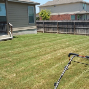 Photo of A+ Affordable lawn service