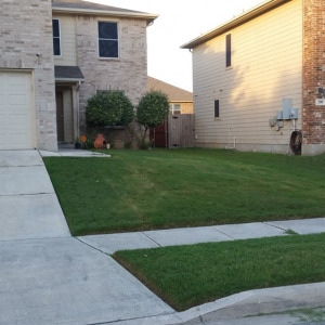 Photo of A+ Affordable lawn service