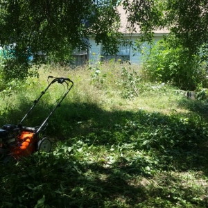 Photo of A+ Affordable lawn service