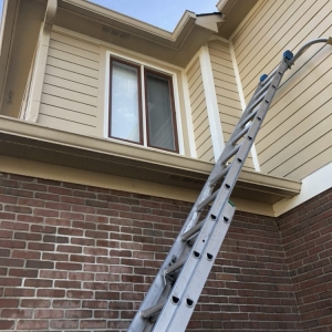 Photo of Detail Window Cleaning
