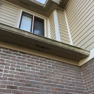Photo of Detail Window Cleaning