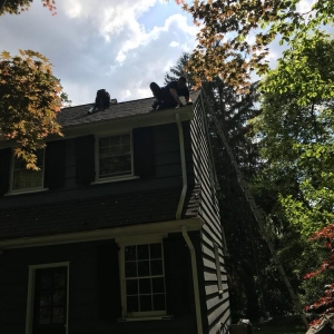 Photo of Jg Gutter Cleaning