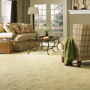 Photo of Stuart Quick Dry Carpet Cleaning
