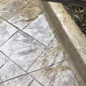Photo of Marrocco's Stamped Concrete