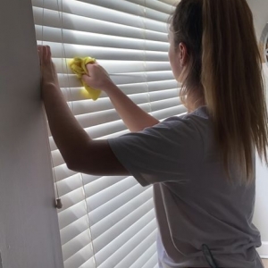 Photo of Higgins Pro Cleaning