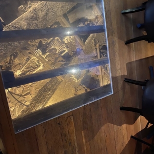 Photo of The RailHouse Lounge