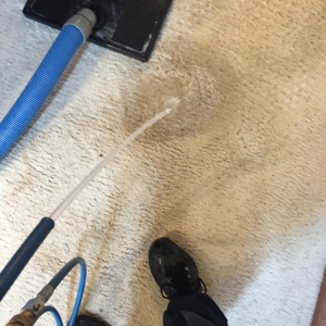 Photo of EverLush Cleaning Services