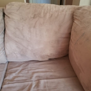 Photo of EverLush Cleaning Services
