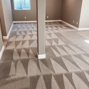Photo of EverLush Cleaning Services
