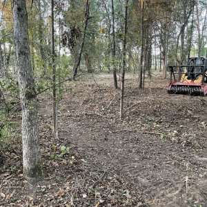 Photo of Evans Excavating Mulching & Land Clearing