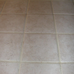 Photo of Groves Family Carpet Care