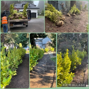 Photo of Dennis' 7 Dees Landscaping
