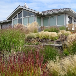 Photo of Dennis' 7 Dees Landscaping