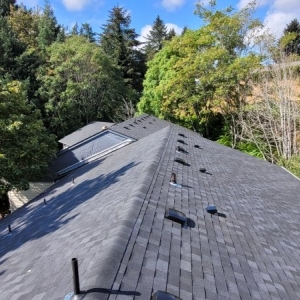 Photo of Mountainside Roofing
