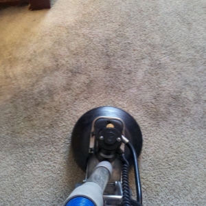 Photo of Class Act Carpet Cleaning