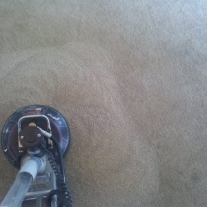 Photo of Class Act Carpet Cleaning