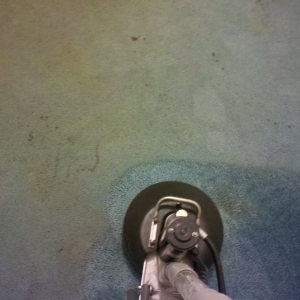 Photo of Class Act Carpet Cleaning
