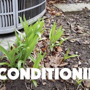 Photo of Action Heating & Air Conditioning