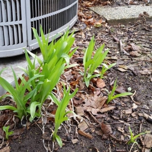 Photo of Action Heating & Air Conditioning