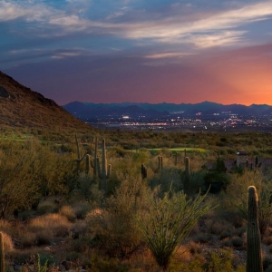 Photo of Silverleaf Realty