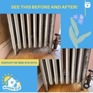 Photo of Sunny Day cleaning services