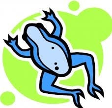 Photo of Frogg Dogg Promotions