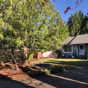 Lynnwood Perfecto's Landscaping