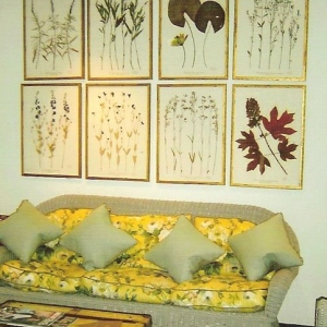 Photo of Becky Davis Botanicals
