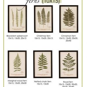 Photo of Becky Davis Botanicals