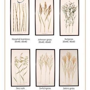 Photo of Becky Davis Botanicals