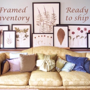 Photo of Becky Davis Botanicals