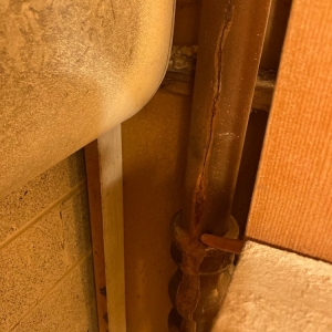 Photo of Champion Plumbing & Drains