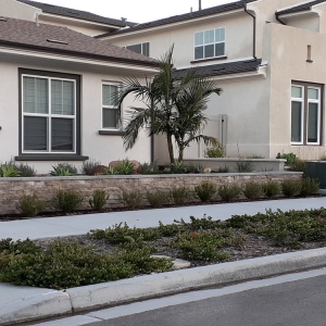 Photo of Desert Landscapers
