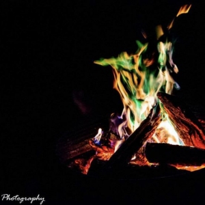 Photo of Root Exposure Photography