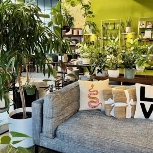 Photo of Altered Decor