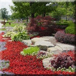 Photo of TLC - The Landscaping Company