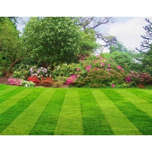 Photo of TLC - The Landscaping Company