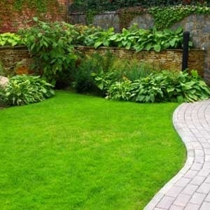 Photo of TLC - The Landscaping Company