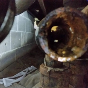 Photo of Sludge Busters plumbing and septic tank service