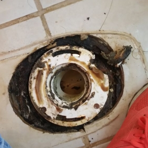 Photo of Sludge Busters plumbing and septic tank service