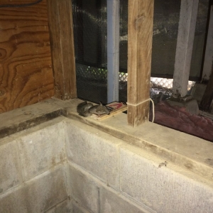 Photo of Rodent Control Santa Rosa - Pro Attic